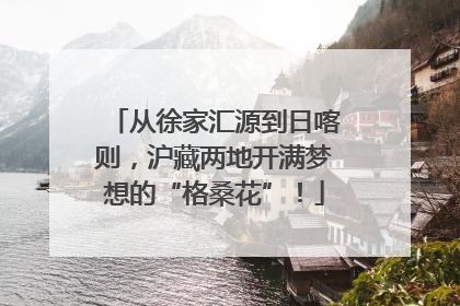 从徐家汇源到日喀则，沪藏两地开满梦想的“格桑花”！