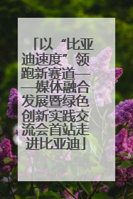 以“比亚迪速度”领跑新赛道——媒体融合发展暨绿色创新实践交流会首站走进比亚迪