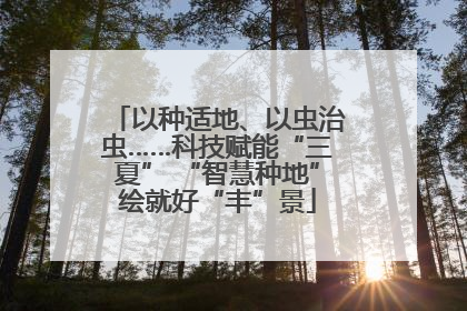 以种适地、以虫治虫……科技赋能“三夏” “智慧种地”绘就好“丰”景