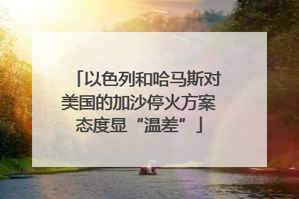 以色列和哈马斯对美国的加沙停火方案态度显“温差”