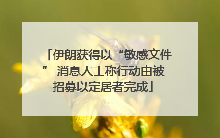 伊朗获得以“敏感文件” 消息人士称行动由被招募以定居者完成
