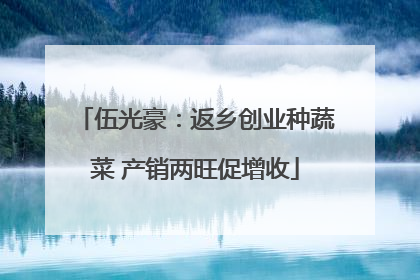 伍光豪：返乡创业种蔬菜 产销两旺促增收