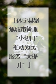 休宁县聚焦城市管理“小切口” 推动为民服务“大提升”