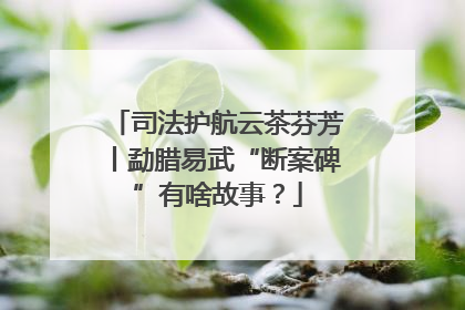 司法护航云茶芬芳丨勐腊易武“断案碑”有啥故事？