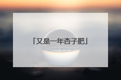 又是一年杏子肥