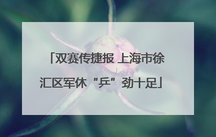 双赛传捷报 上海市徐汇区军休“乒”劲十足