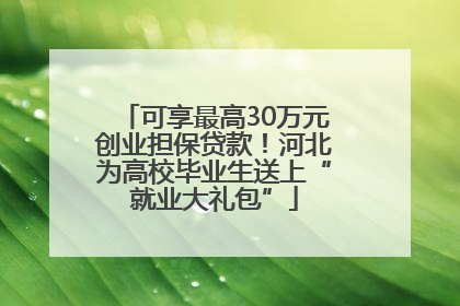 可享最高30万元创业担保贷款！河北为高校毕业生送上“就业大礼包”