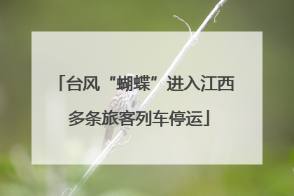 台风“蝴蝶”进入江西 多条旅客列车停运