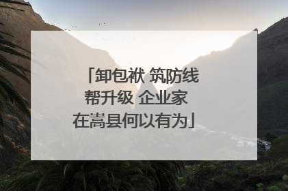 卸包袱 筑防线 帮升级 企业家在嵩县何以有为