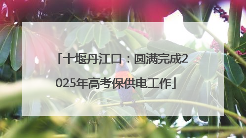 十堰丹江口：圆满完成2025年高考保供电工作