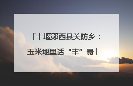 十堰郧西县关防乡：玉米地里话“丰”景