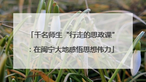 千名师生“行走的思政课”：在闽宁大地感悟思想伟力