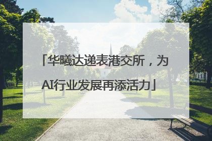 华曦达递表港交所，为AI行业发展再添活力