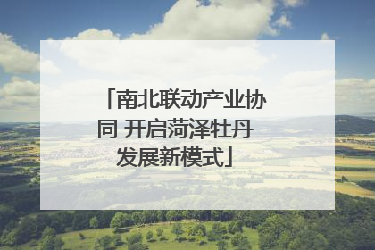 南北联动产业协同 开启菏泽牡丹发展新模式