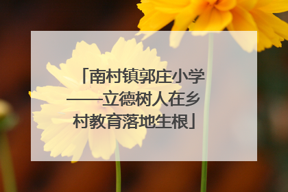 南村镇郭庄小学——立德树人在乡村教育落地生根