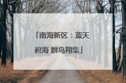 南海新区：蓝天碧海 群鸟翔集