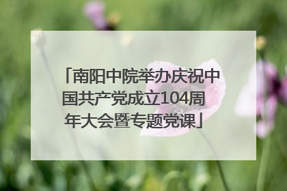 南阳中院举办庆祝中国共产党成立104周年大会暨专题党课