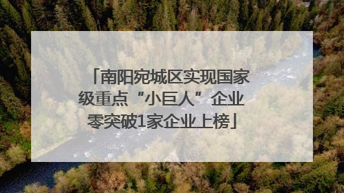 南阳宛城区实现国家级重点“小巨人”企业零突破1家企业上榜