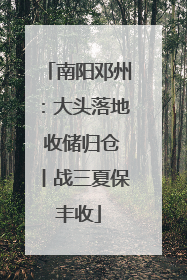 南阳邓州：大头落地 收储归仓丨战三夏保丰收