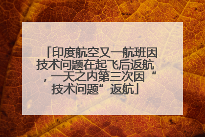 印度航空又一航班因技术问题在起飞后返航，一天之内第三次因“技术问题”返航