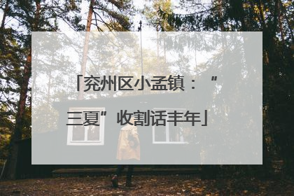 兖州区小孟镇：“三夏”收割话丰年