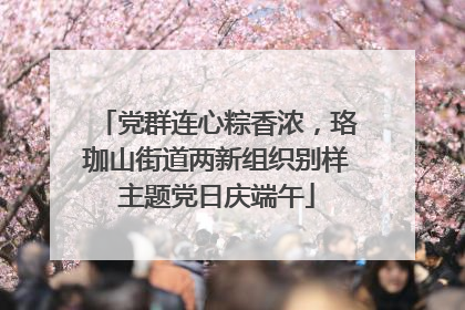 党群连心粽香浓，珞珈山街道两新组织别样主题党日庆端午