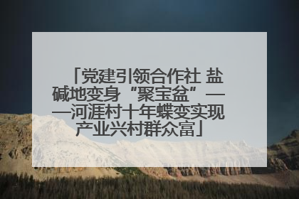 党建引领合作社 盐碱地变身“聚宝盆”——河涯村十年蝶变实现产业兴村群众富