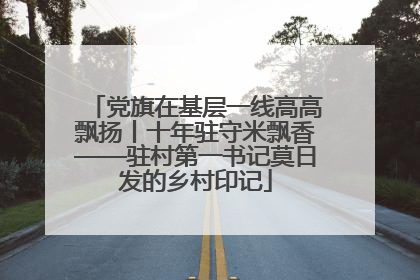 党旗在基层一线高高飘扬丨十年驻守米飘香——驻村第一书记莫日发的乡村印记