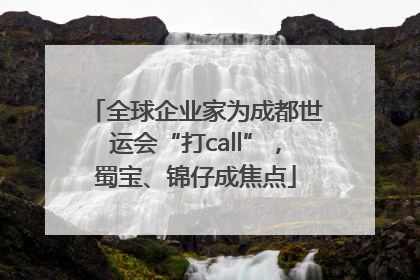 全球企业家为成都世运会“打call”，蜀宝、锦仔成焦点
