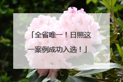 全省唯一！日照这一案例成功入选！