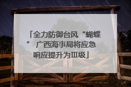 全力防御台风“蝴蝶” 广西海事局将应急响应提升为Ⅲ级