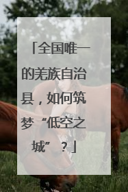 全国唯一的羌族自治县，如何筑梦“低空之城”？