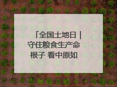 全国土地日｜守住粮食生产命根子 看中原如何“耕”新