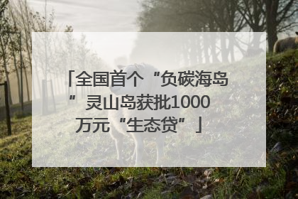 全国首个“负碳海岛”灵山岛获批1000万元“生态贷”