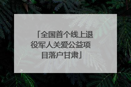 全国首个线上退役军人关爱公益项目落户甘肃