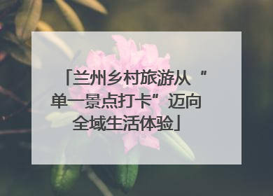 兰州乡村旅游从“单一景点打卡”迈向全域生活体验