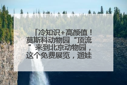 冷知识+高颜值！莫斯科动物园“顶流”来到北京动物园，这个免费展览，遛娃拍照两不误！