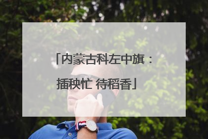 内蒙古科左中旗：插秧忙 待稻香