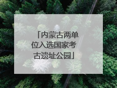 内蒙古两单位入选国家考古遗址公园