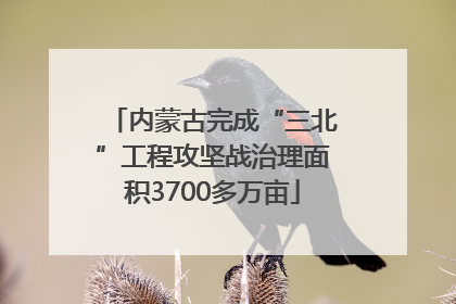 内蒙古完成“三北”工程攻坚战治理面积3700多万亩
