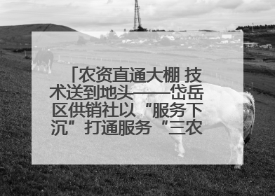 农资直通大棚 技术送到地头——岱岳区供销社以“服务下沉”打通服务“三农”最后一公里