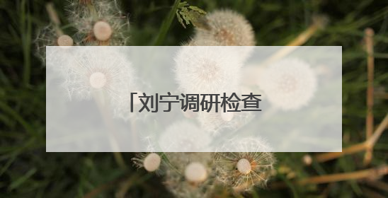 刘宁调研检查高考准备工作