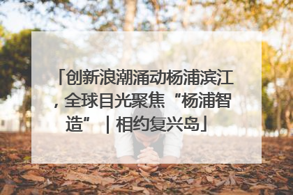 创新浪潮涌动杨浦滨江，全球目光聚焦“杨浦智造”｜相约复兴岛