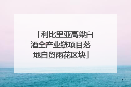 利比里亚高粱白酒全产业链项目落地自贸雨花区块
