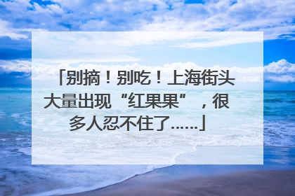 别摘！别吃！上海街头大量出现“红果果”，很多人忍不住了……