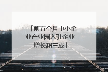 前五个月中小企业产业园入驻企业增长超三成