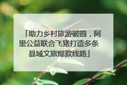 助力乡村旅游破圈，阿里公益联合飞猪打造多条县域文旅爆款线路