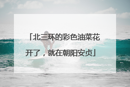 北三环的彩色油菜花开了，就在朝阳安贞