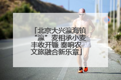 北京大兴瀛海镇“瀛”麦相承小麦丰收开镰 奏响农文旅融合新乐章