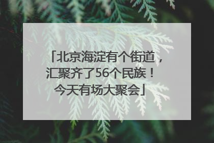 北京海淀有个街道，汇聚齐了56个民族！今天有场大聚会